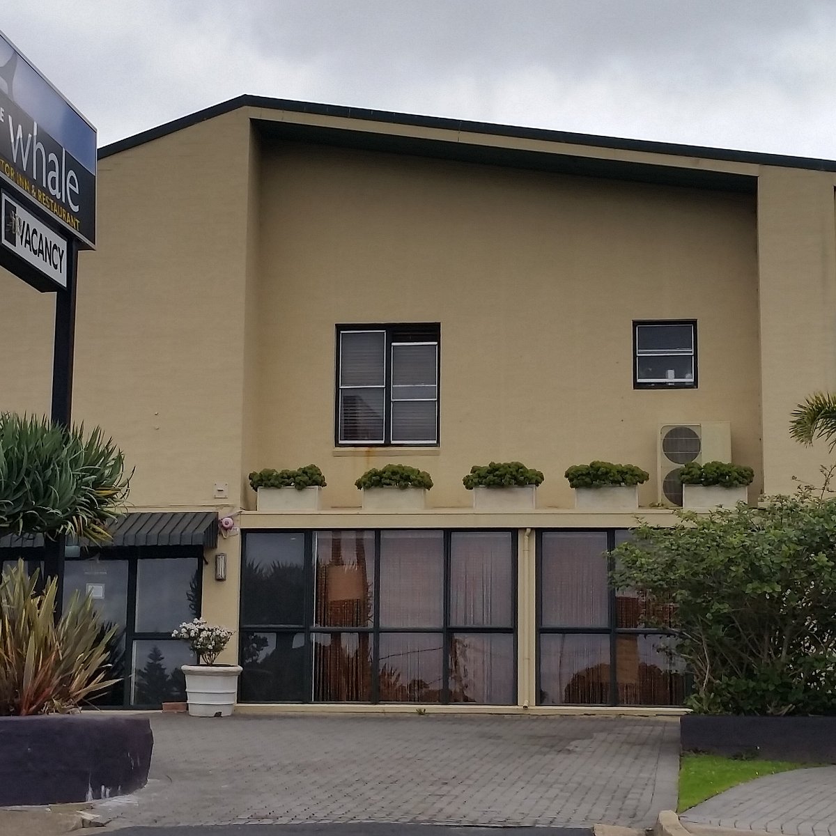 The Whale Inn — photo 3